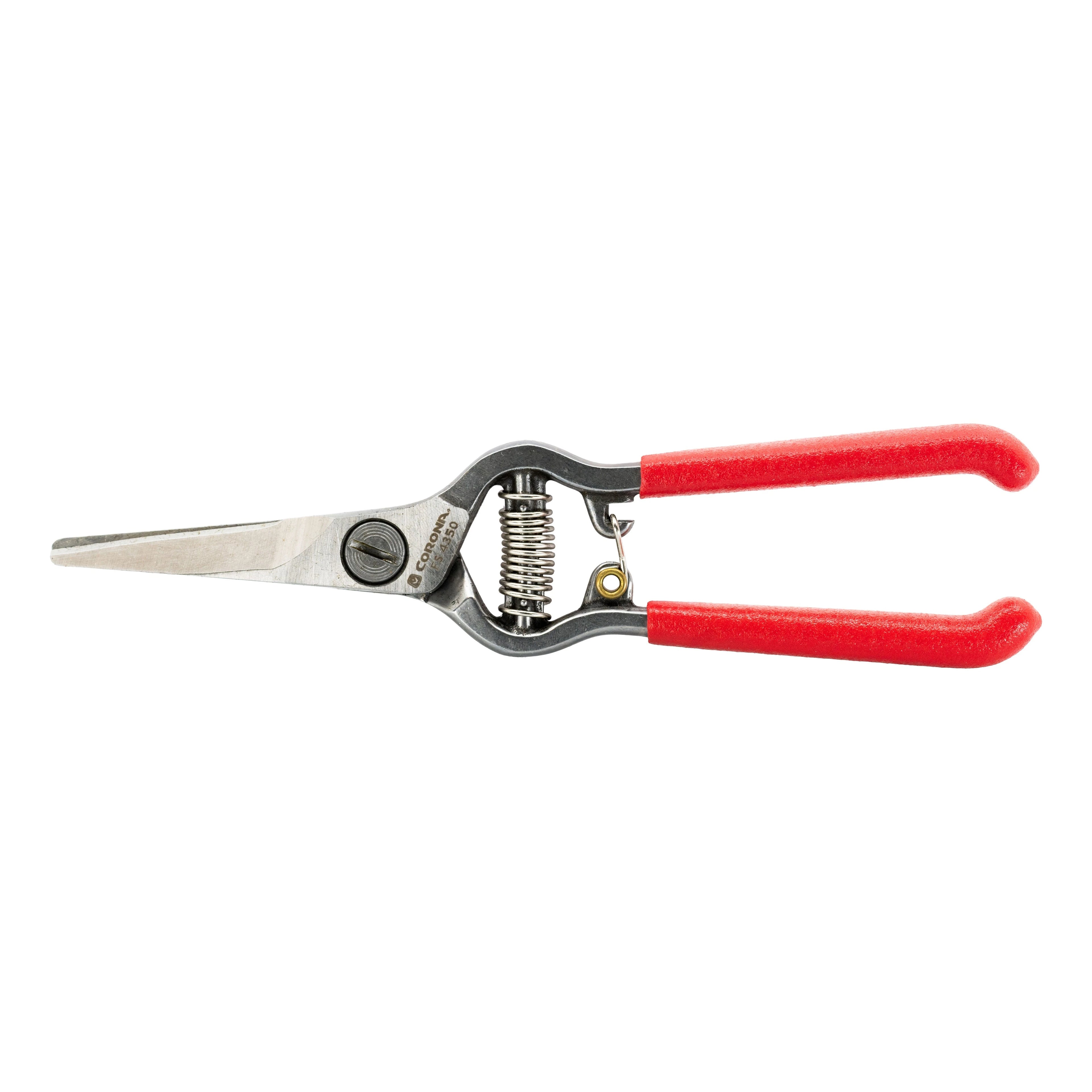 Scissors & Shears