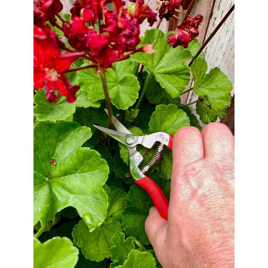 Corona Stainless Steel Straight 1-3/4 in. Snips