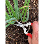Corona Stainless Steel Straight 1-3/4 in. Snips
